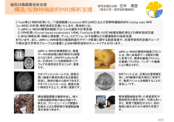 構造/安静時機能的MRI解析  援