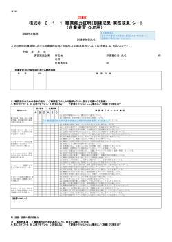 様式3－3－1－1 職業能力証明（訓練成果･実務成果