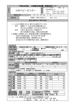 小杉ベビーセンター(PDF形式, 178.04KB)
