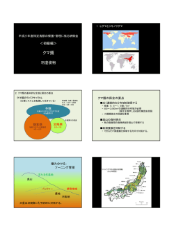 講義資料:665KB