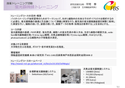 蛍光顕微鏡トレーニング