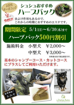 詳しくはこちら