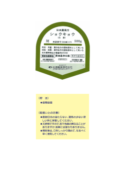PDFファイル