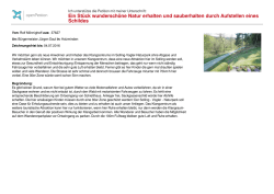 Herunterladen