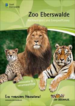 Infoblatt Zoo Nachhaltigkeit und Energieeffizienz