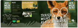 Preise - Der Wilde Berg Mautern
