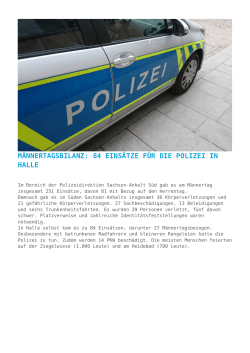 Männertagsbilanz: 84 Einsätze für die Polizei in Halle
