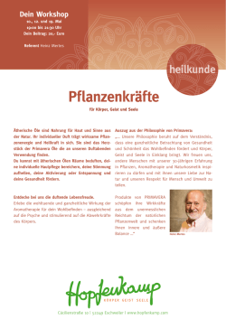 Infoblatt zum Seminar
