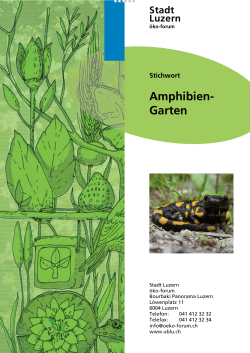 Amphibien- Garten - Umweltberatung Luzern