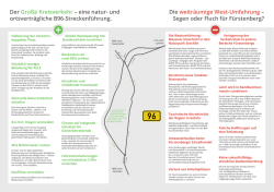 Infoblatt - Eine &bdquo;natur- und ortsvertr&auml;gliche B96
