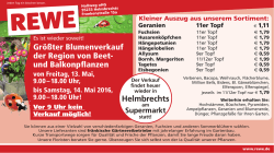 Gr&ouml;&szlig;ter Blumenverkauf der Region von Beet- und