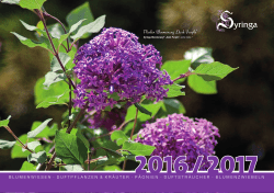 Katalog 2016 - Syringa Pflanzen