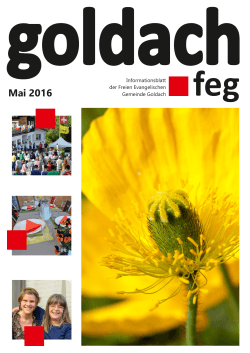 Gemeindeinfoblatt FEG 2016-05_X6korrigiert.cdr