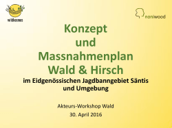 Konzept und Massnahmenplan Wald & Hirsch Massnahmen