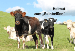 Heimat zum „Reinbeißen“ - Zukunftsregion Zwickau eV