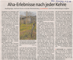 Der Sonntag, 1.5.16 - Indiaca Malterdingen eV