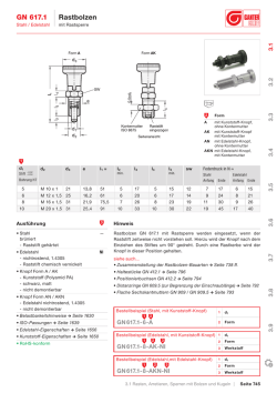 GN 617.1 Rastbolzen