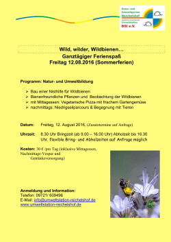 Ferienspaß "Wildbienen" - Umweltstation Reichelshof