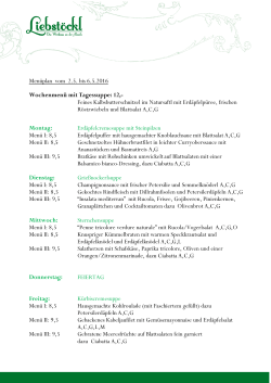 Menüplan als PDF