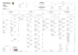 konventioneller Oganisationsplan als pdf-Datei