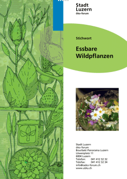 Essbare Wildpflanzen - Umweltberatung Luzern