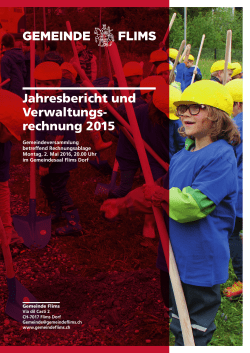 Jahresrechnung 2015