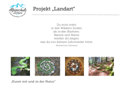 Projekt "Landart" - Alpinschule Lermoos
