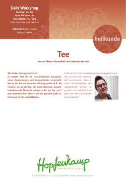 Infoblatt zum Seminar