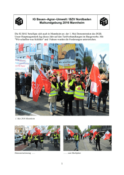 IG Bauen&ndash;Agrar&ndash;Umwelt / BZV Nordbaden Maikundgebung 2016