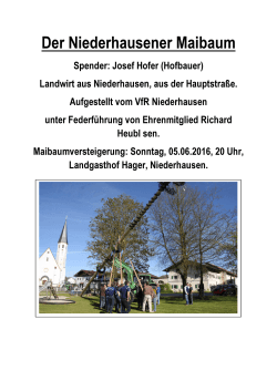 Maibaum in Niederhausen. - Niederhausen im Vilstal