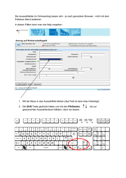 Die Auswahlfelder im Onlineantrag lassen sich