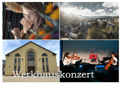 Info-Flyer - Regionale Musikschule Liestal