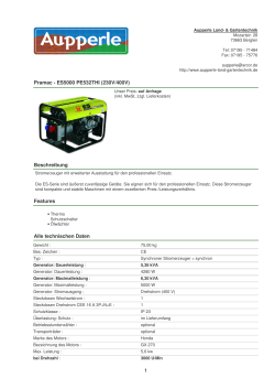 Pramac - ES5000 PE532THI (230V/400V)