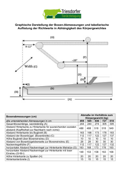 Graphische Darstellung der Boxen-Abmessungen und tabellarische