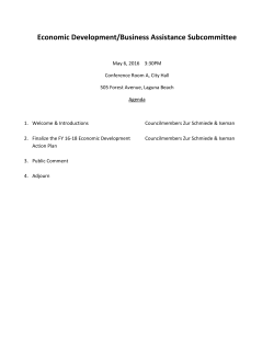 Economic Development/Business Assistance Subcommittee