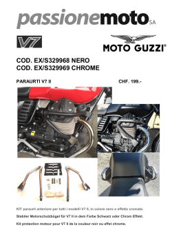 Motorschutzbügel-Protection moteur V7