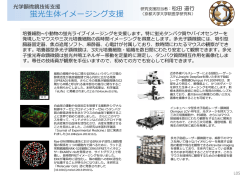 蛍光生体イメージング支援