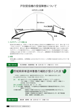 茨城県県単造林事業の補助が受けられます