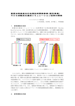RDS流動反応連成シミュレーション技術の開