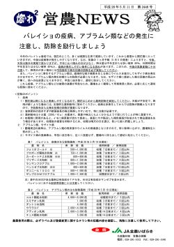 バレイショの疫病、アブラムシ類などの発生に 注意し、防除を励行しましょう