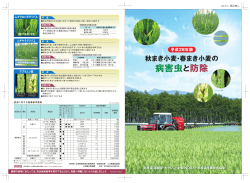 病害虫と防除 - 北海道米麦改良協会