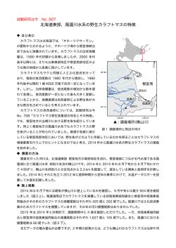 北海道東部，風蓮川水系の野生カラフトマスの特徴