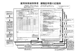 （3） （離職証明書全体）