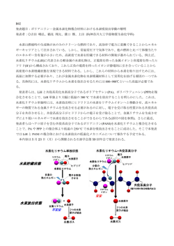ポリアニリン‐金属水素化物複合材料における水素吸放出