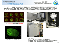 4D顕微鏡観察  援