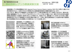 凍結割断レプリカ標識実験  援