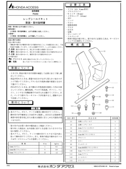 HONDA PS250 BIG RUCKUS 2005