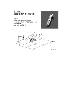 EA538RA-1 [自動車用]ギボシ形プラグ