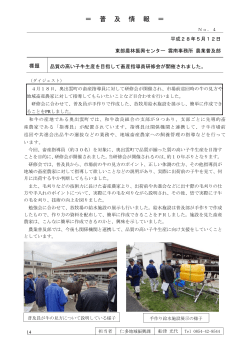 ＝ 普 及 情 報 ＝