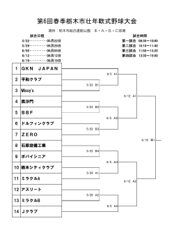 第6回春季栃木市壮年軟式野球大会 - Hi-HO